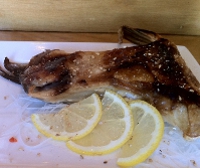 hamachi kama